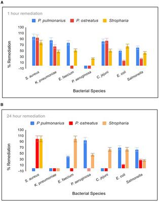 Mechanism of fungal remediation of wetland water: Stropharia rugosoannulata as promising fungal species for the development of biofilters to remove clinically important pathogenic and antibiotic resistant bacteria in contaminated water